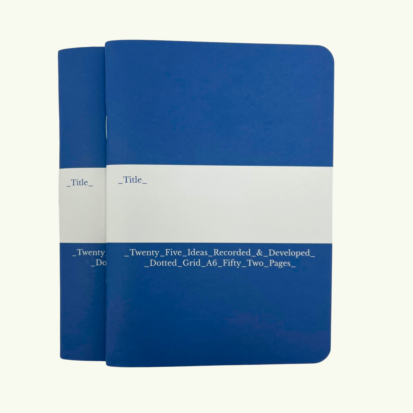 Twenty Five Ideas - Pocket Notebooks